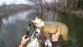 Hinze Dam Saratoga GoPro Edit [upl. by Ribble]