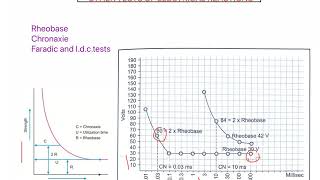 Rheobase and Chronaxie Electrodiagnosis part 3 LOW FREQUENCY [upl. by Ninnahc]