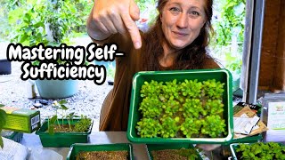 Hydroponic Seed Starting Update  Germinating Seeds in Rockwool  Seedlings Tower Garden [upl. by Nana]