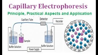 Capillary Electrophoresis  Principle Practical Aspects and Application [upl. by Notecnirp]