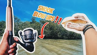 SNOOK FISHING WITH NLBN KTAIL [upl. by Nazarius]