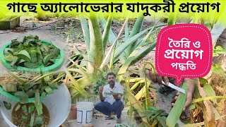 সব ধরনের গাছে অ্যালোভেরার যাদুকরী প্রয়োগ কীভাবে করবেন benifits of alovera for plants [upl. by Dirgni659]