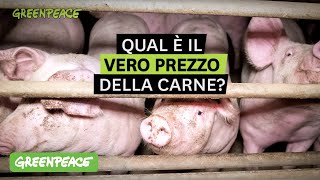 Qual è il vero prezzo della carne [upl. by Fiann]