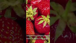 DNA extraction from strawberry DNA Extractionsciencefacts [upl. by Hcurob945]