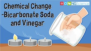 Chemical Change – Bicarbonate Soda and Vinegar [upl. by Aicsila337]