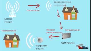 Усилитель сотовой связи  как работает [upl. by Shinberg]