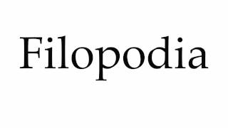 How to Pronounce Filopodia [upl. by Fabron]