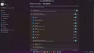 How to Configure Microphone Access Permissions on Windows 11 [upl. by Eelarat]
