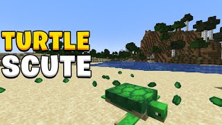 How to get turtle scute in Minecraft 121 [upl. by Oren]