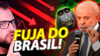 CALOTE NO BRASIL DISPARA O PIOR ESTÁ POR VIR O Problema do Brasil é o Bostileiro [upl. by Enavi875]