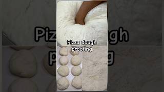 Pizza Dough Proofing and cutting pizza shorts [upl. by Valeria896]