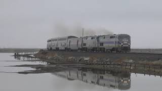 AMTK 184 Leading the Coast Starlight at Alviso [upl. by Leblanc]