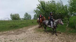 Horse riding in Romania its a real pleasure [upl. by Nahoj]