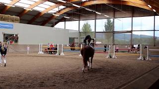 Sienna Deterding und Sophia Neufeld  Einzelvoltigieren Bad Oeynhausen [upl. by Eluj38]