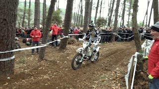 24MX ALESTREM 2018 Samedi Qualification [upl. by Sedgewake]