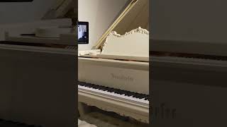 Capture Performances with Disklavier  Bösendorfer 185VC Grand Piano at Classic Pianos Denver [upl. by Alvar]