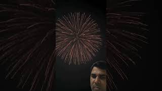 Amazing firework fireworks firework skyshot skyshots [upl. by Mcdowell]