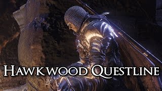 Dark Souls 3 Hawkwood Questline  Dragon Stone Locations 1080p HD [upl. by Joannes608]