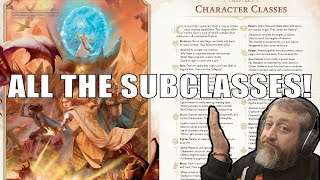 All the DampD 5e 2024 PHB Subclasses  Nerd Immersion [upl. by Reilly236]