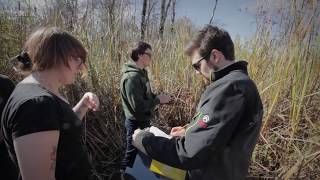 Fish and Wildlife Technician – Wetland Field School [upl. by Garcia]