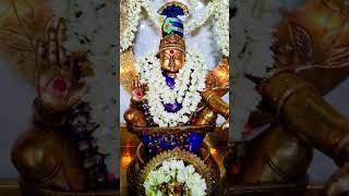 Bhagavan Saranam Iyyappan Paadal  Iyyappan song WhatsApp status Tamil  iyyappan ayyappa [upl. by Atnuhs497]