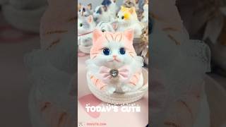 The pink kitten is my favorite It is so soft and cute 🐈❤️ squishy diy cat asmr kitty pink [upl. by Mannes]