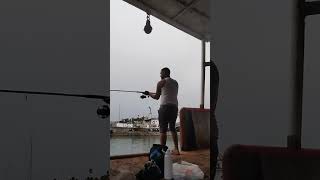 pesca de robalo con señuelo luperon puerto plata [upl. by Treble888]