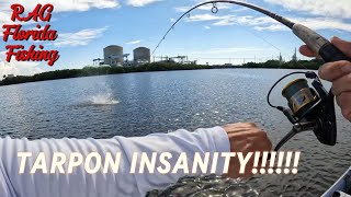 South Florida TARPON MADNESS and Light Tackle SNOOK HUGE BLOWUPS [upl. by Wald]