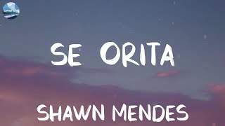 Shawn Mendes  Señorita Lyrics  Olivia Rodrigo Taylor Swift MIX LYRICS [upl. by Boehmer]