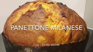 Panettone milanese a lievitazione naturale con impastatrice a spirale Sunmix [upl. by Ajoop]