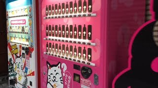 Crazy Japanese 10 cent mystery vending machines  Osaka Japan 大阪 10円自販機 [upl. by Accisej]