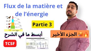 TCSF  Le flux de la matière et de l’énergie dans l’écosystème  Partie 3  ✅🔥أبسط ما في الشرح [upl. by Rundgren]