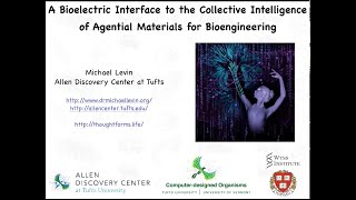 quotA bioelectric interface to the collective intelligence of agential materials for bioengineeringquot [upl. by Eanyl]