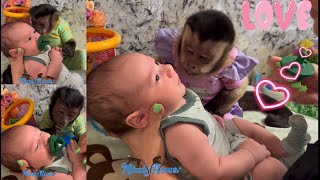 Monkeys interacting with human baby Easton ❤️❤️❤️ [upl. by Demmahum]