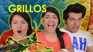 COMIENDO GRILLOS  CHAPULINES  RETO POLINESIO [upl. by Noelani]