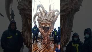 Mystical creatures beneath waves😱😱😱😱😱😱 ocean fishing fish creature [upl. by Ayaet]