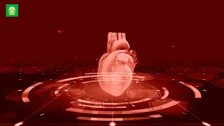 105 Hz 304 Hz  Blood Pressure Healing Frequency  Healing Music For The Heart And Blood Vessels [upl. by Yelah718]