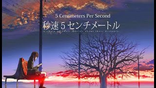 5 CENTIMETRES PER SECOND HINDI DUBBED FULL MOVIE HINDI youtube anime 5centimeterspersecond hindi [upl. by Desma]