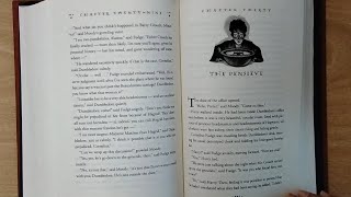 Year4 Harry Potter and the Goblet of fire Chapter 30 The Pensieve [upl. by Vastah171]