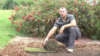 How To Lay Turf Properly  Step By Step Instruction Video [upl. by Jorry992]