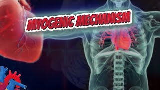 Myogenic mechanism  Human Heart ❤️ and Cardiology ❤️🔊✅ [upl. by Anitsuga]