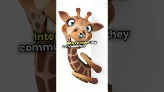 Discover Giraffes Natures Gentle Giants [upl. by Alfredo]