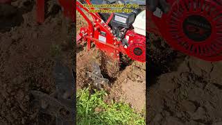 Honda powered Maxim MT Pro Series Commercial Tiller tilling our yard honda maxim tiller shorts [upl. by Leinahtam549]