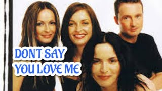 lagu The Corrs dont say you love me lirik lagu lyrics [upl. by Jedthus549]