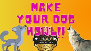 Guaranteed to Make your Dog Howl  Dog Howling Sounds [upl. by Chantal]