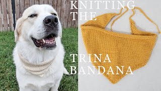 Knitting the Trina Bandana by WAK  VLOG [upl. by Latham744]