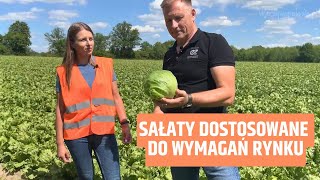 Odmiany sałaty dostosowane do wymagań rynku [upl. by Gilleod726]