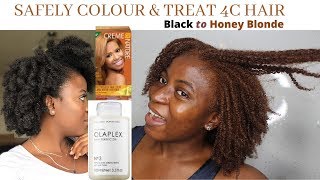 How I Colour my Natural Hair Without Bleach amp Treat it [upl. by Craner]