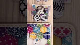 KITTIES the BOARD GAME Calico Board Game overview shorts boardgames calico cats kitten [upl. by Laval]