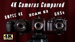 Compare This BMPCC 4K vs Z CAM E2 vs GH5s [upl. by Mcnelly]